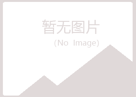 合山雪枫能源有限公司